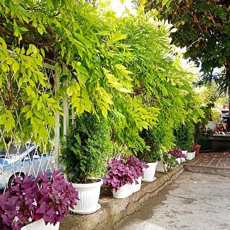 Belgrade Apartment Happy Garden エクステリア 写真