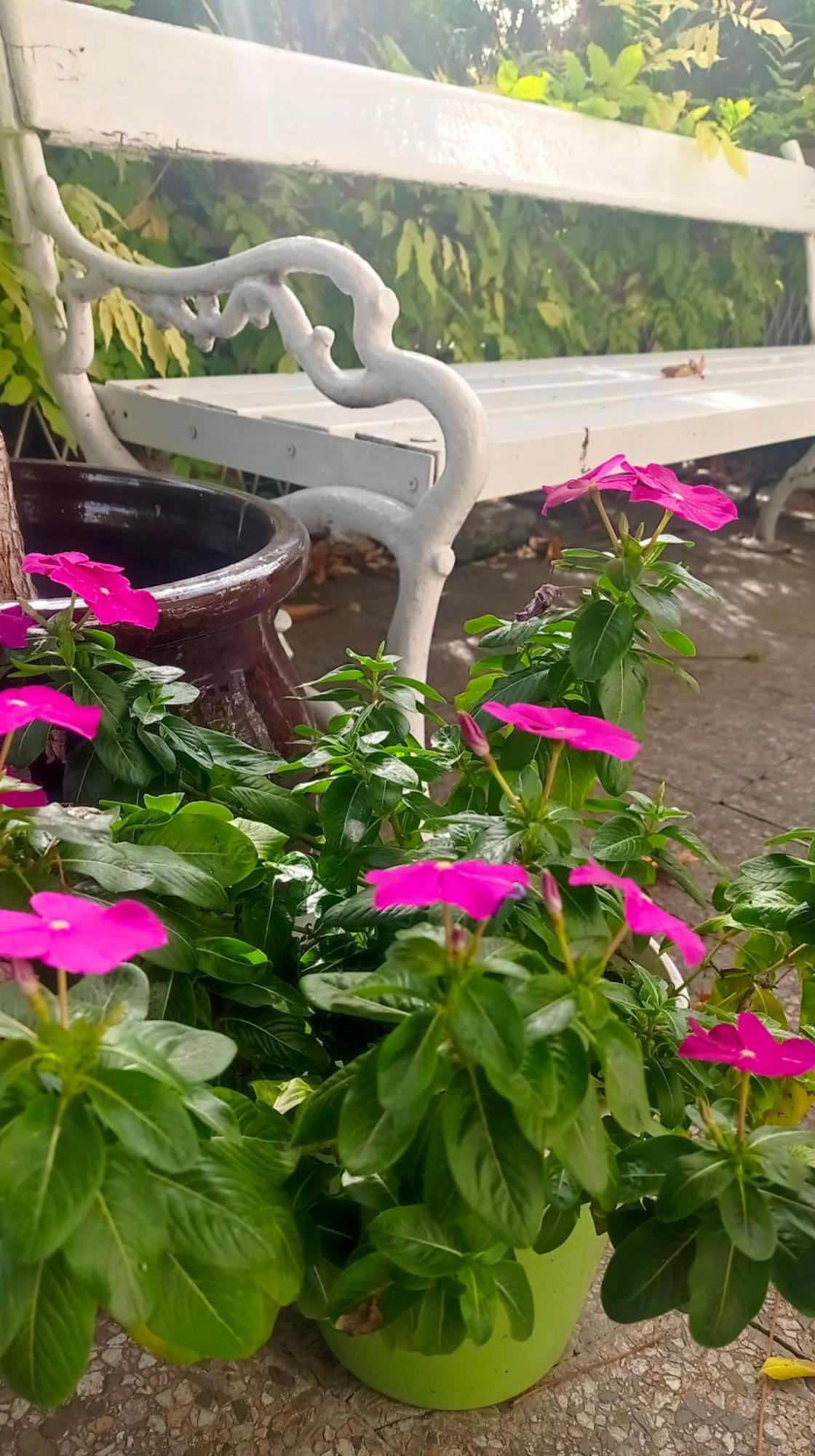 Belgrade Apartment Happy Garden エクステリア 写真