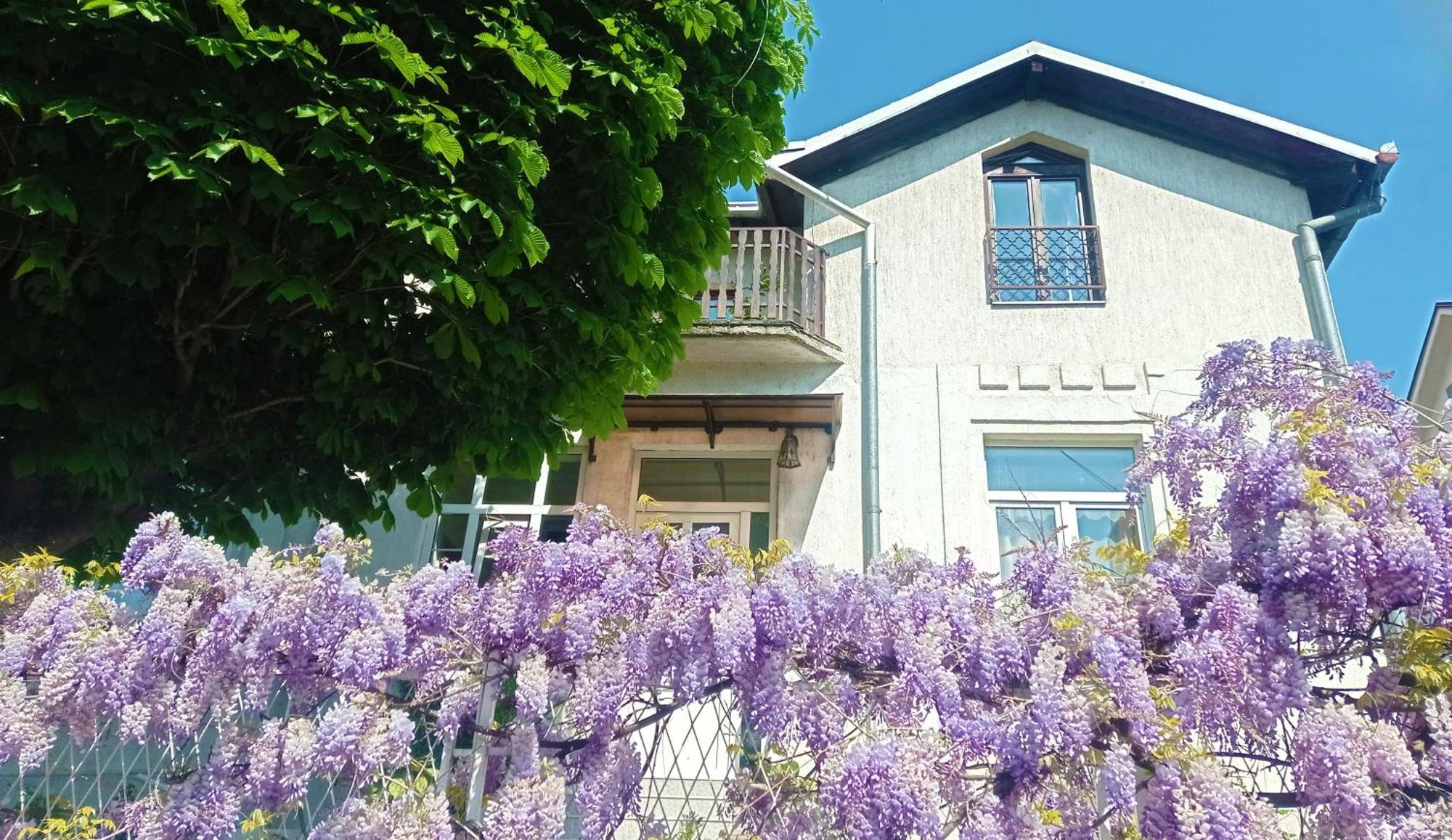 Belgrade Apartment Happy Garden エクステリア 写真