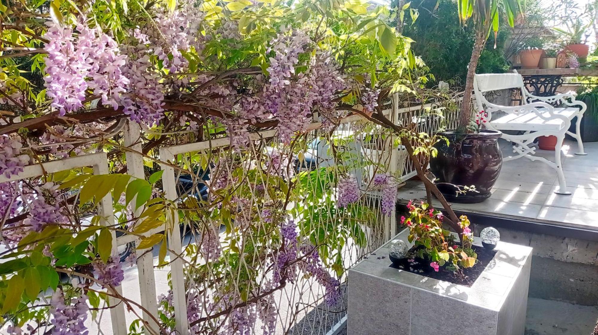 Belgrade Apartment Happy Garden エクステリア 写真