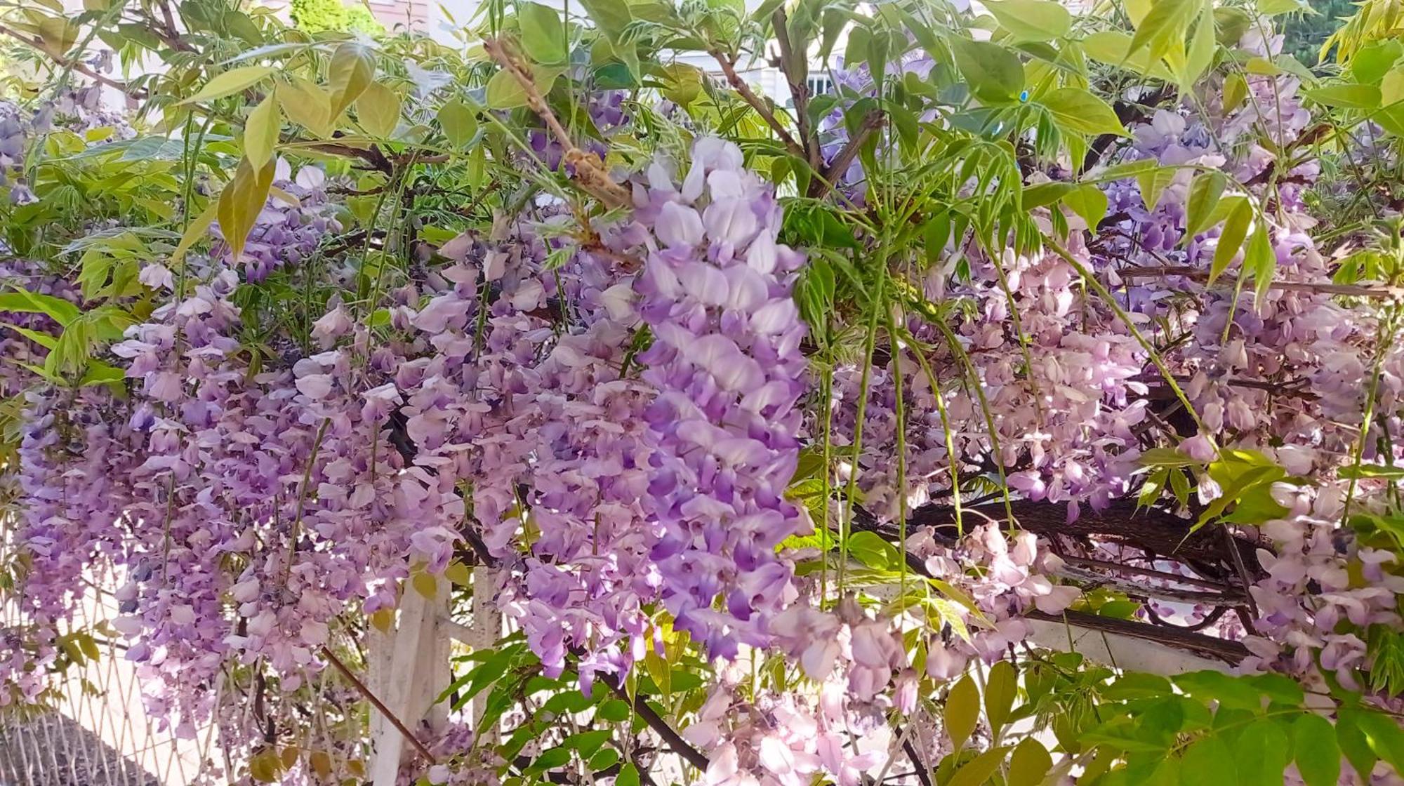 Belgrade Apartment Happy Garden エクステリア 写真