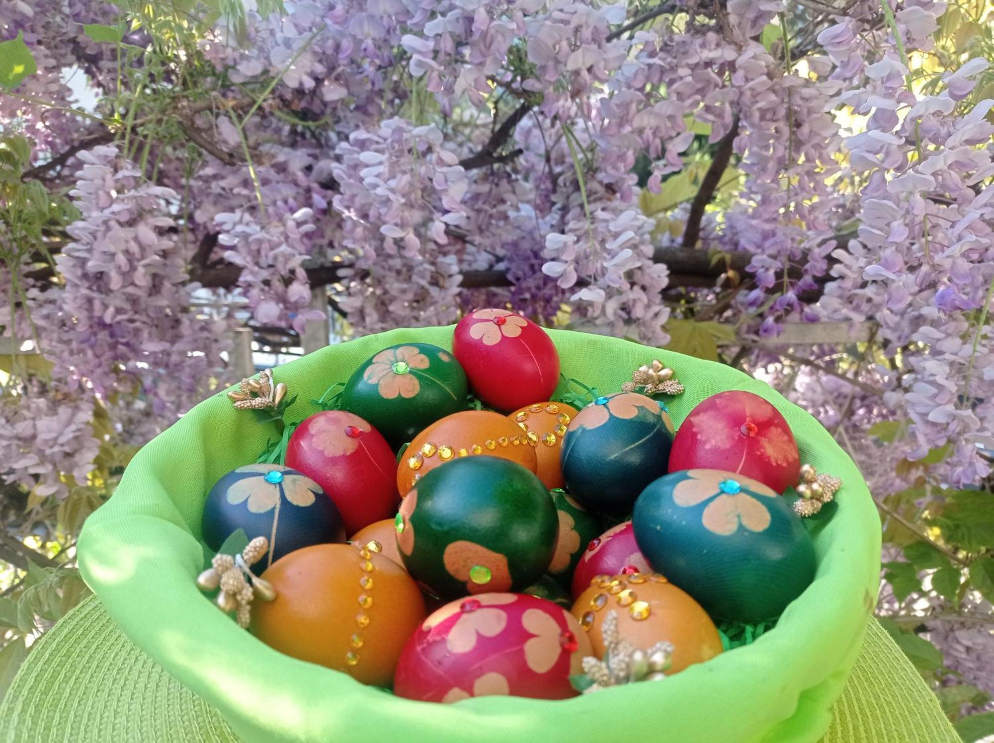 Belgrade Apartment Happy Garden エクステリア 写真