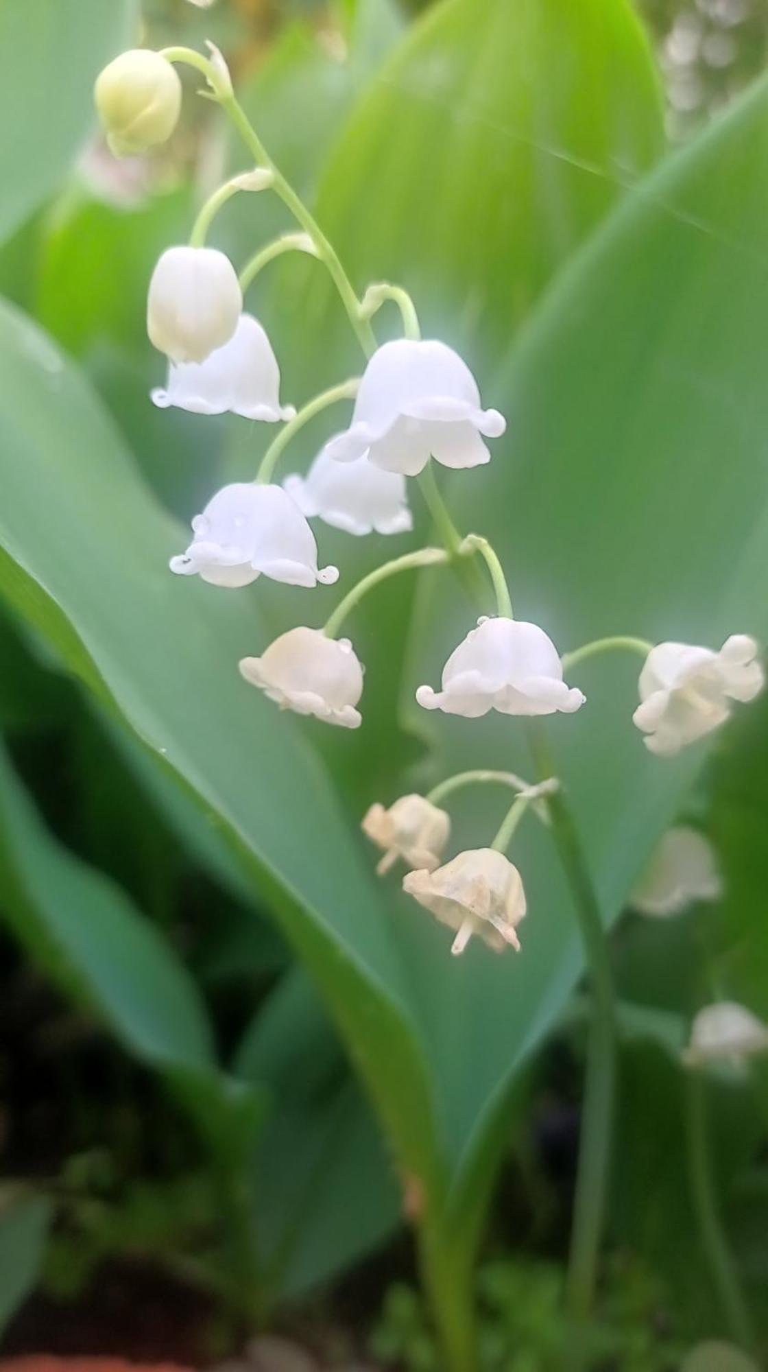 Belgrade Apartment Happy Garden エクステリア 写真