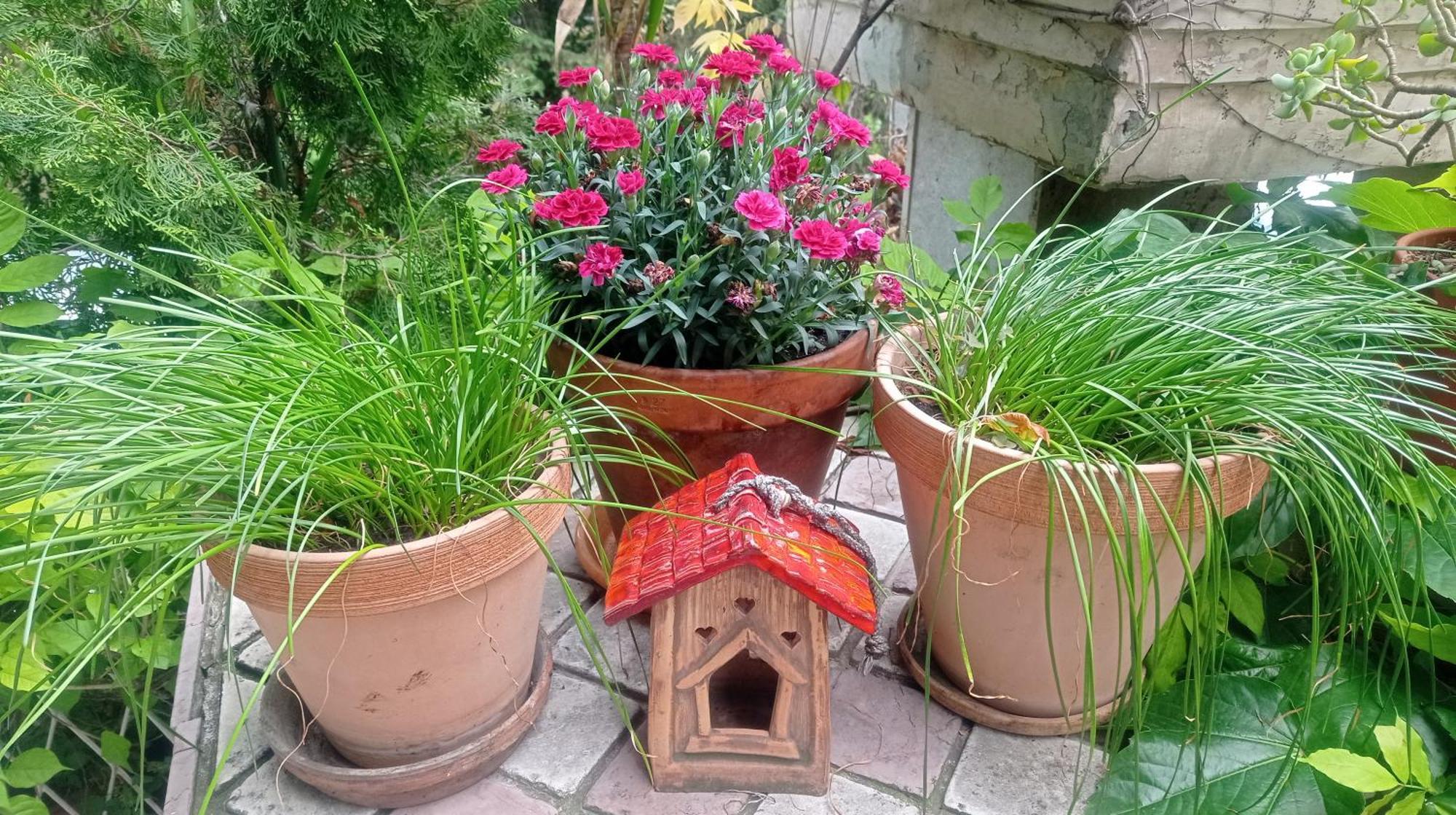 Belgrade Apartment Happy Garden エクステリア 写真