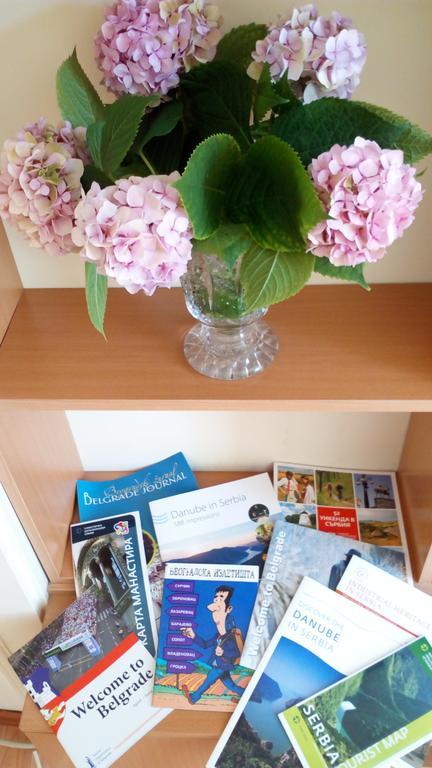Belgrade Apartment Happy Garden エクステリア 写真